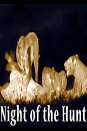 Night of the Hunt (2011) Night of the Hunt (2011)