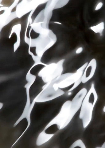 La Mont&eacute;e des eaux (2021)