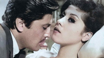 The Broken Lifes (1965)