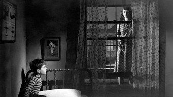 #14 The Window