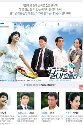 Poster of 날아오르다