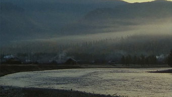 Few of Us (1996)