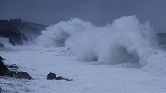 From the Wild Sea (2021)