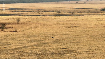 #16 Destination Wild: India