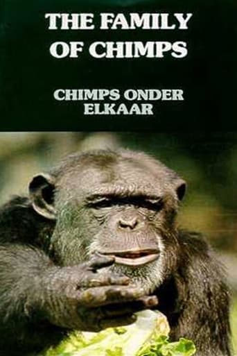 Poster of The Family of Chimps
