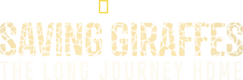 Saving Giraffes: The Long Journey Home logo