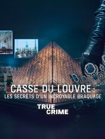 True Crime : Casse du Louvre : Les secrets d&rsquo;un incroyable braquage