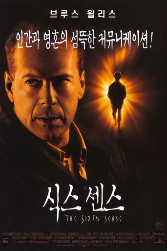 식스 센스 (1999)
