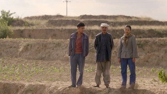 Episode 31 — Episode 31