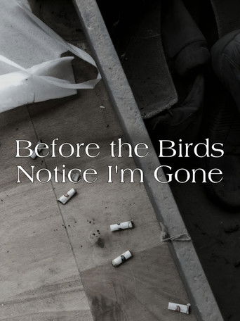 Before the Birds Notice I am Gone
