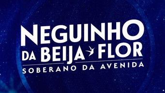 Cena de Neguinho da Beija-Flor - Soberano da Avenida