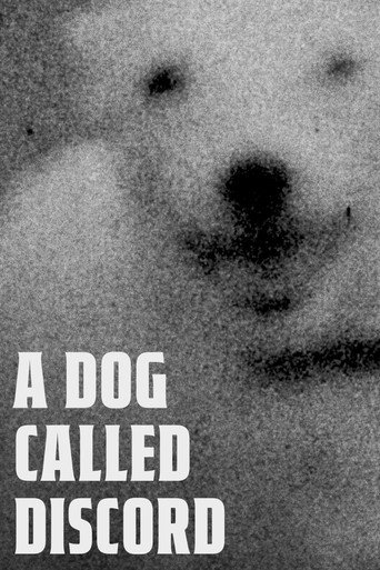 A Dog Called Discord