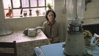 Reflexões de um Liquidificador (2010)