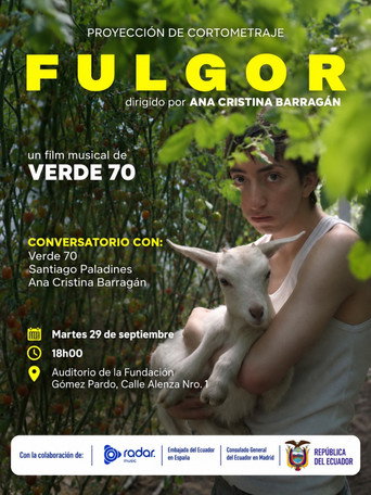 FULGOR poster
