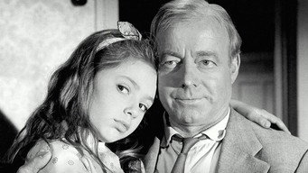 The Liar (1961)
