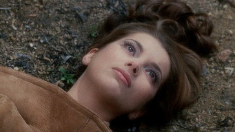 Galeria 5 - Las ciervas