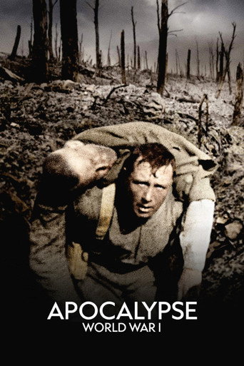 Poster 3