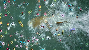 #41 Меґ