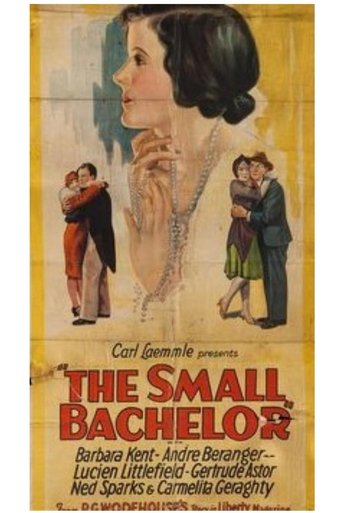 The Small Bachelor (1927)