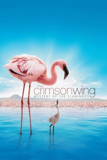 The Crimson Wing: Mystery of the Flamingos (2008) The Crimson Wing: Mystery of the Flamingos (2008)