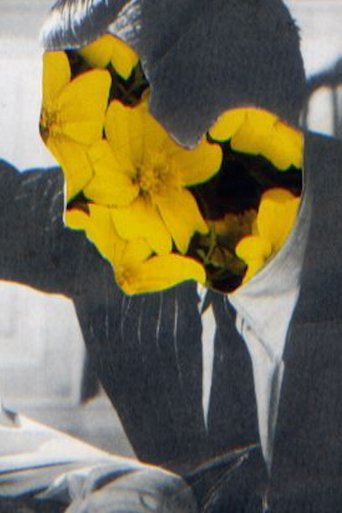 She Dolls With Dollies poster