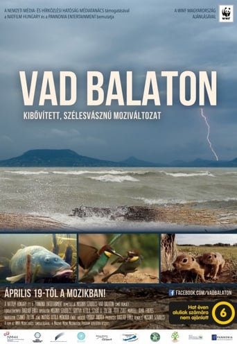 Poster of Vad Balaton