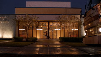 #86 Ідеальний голос