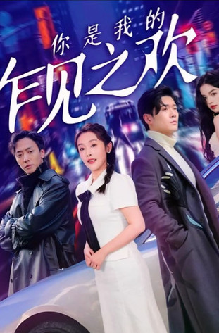 你是我的乍见之欢 poster