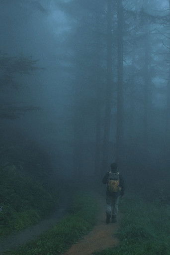 Poster de 부자산행