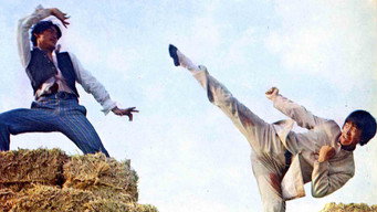 Bamboo Brotherhood (1974)