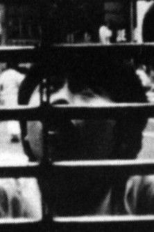 PATHOS SCATTERS IN ILLUSION