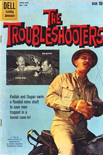 Poster of The Troubleshooters