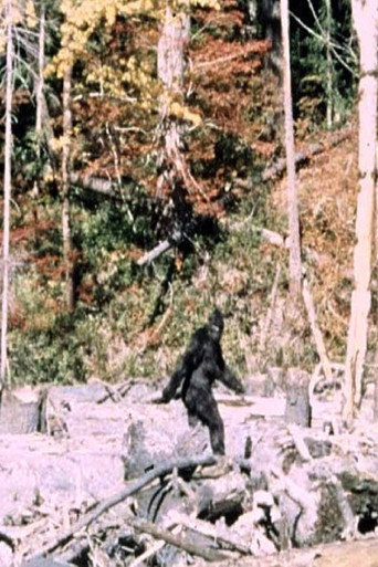 Patterson-Gimlin Film (1967)