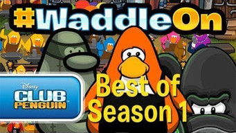 Best of Season 1