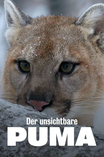 Der unsichtbare Puma - Ein Besucher in Frankreichs Wäldern?