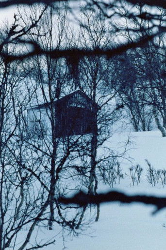 The Girl looking for the cabin