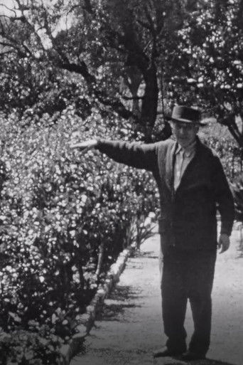 Chagall dans son jardin a Saint-Paul-de-Vence (1970)