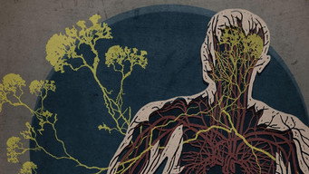 The Creeping Garden (2014)