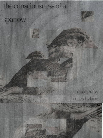 The Consciousness of a Sparrow