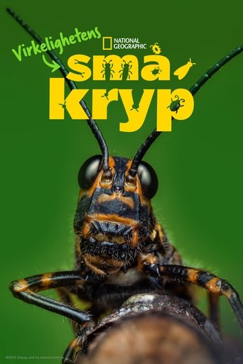 Virkelighetens småkryp