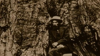 Eadweard Muybridge, Zoopraxographer (1975)
