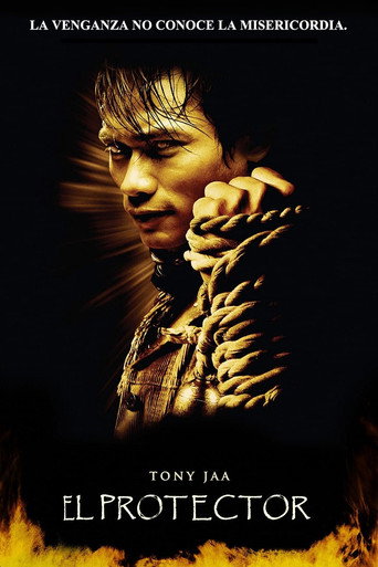 Thai Dragon - Colección