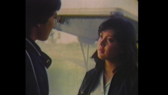 P.S. Я кохаю тебе (1981)