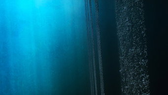 Our Universe backdrop 3