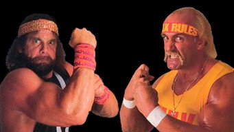 #5 WrestleMania V