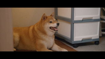 Episode 16 — Episode 16