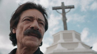 Assistir Alucinação Online