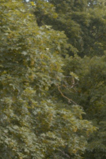 Letter from Graz (2026)