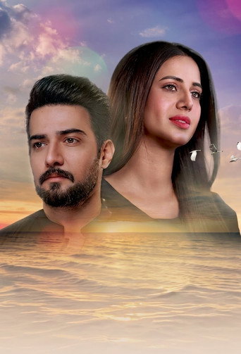 Sambhal Jaa Aye poster