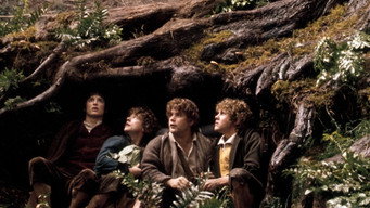 The Lord of the Rings: The Fellowship of the Ring backdrop 3